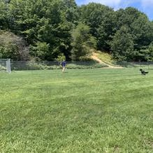 Dog Park at Coast Guard Park photo 2